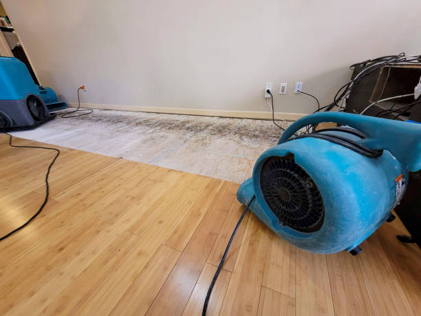 Reliable Basement Flood Cleanup contractor in Brookfield, WI by Hirex Water Damage