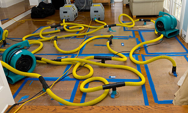 Professional Basement Flood Cleanup technician working in Brookfield, WI